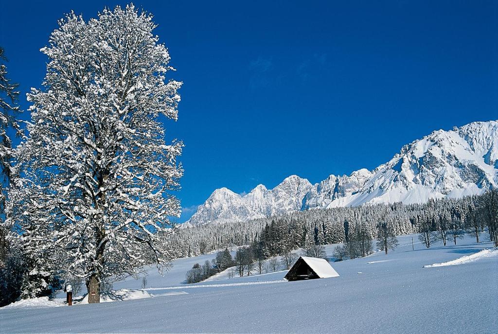 Hotel Jagdhof Ramsau am Dachstein Dış mekan fotoğraf